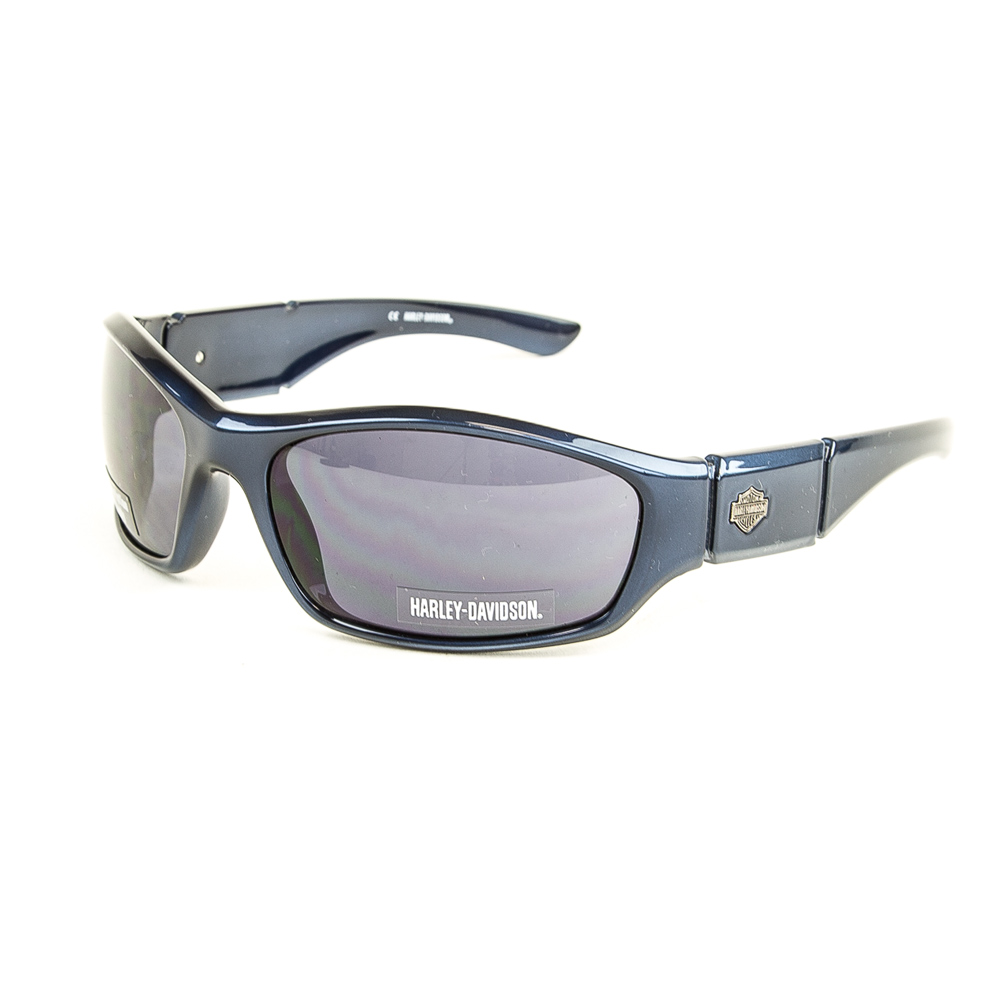 HarleyDavidson Men's Sunglasses, HDX887 NV9 67mm 788144631631 eBay