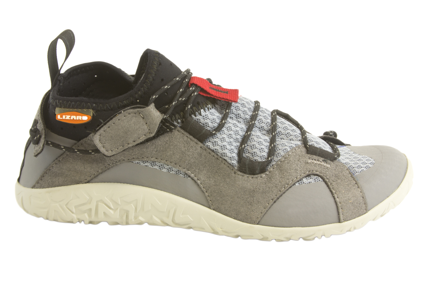 lizard shoes